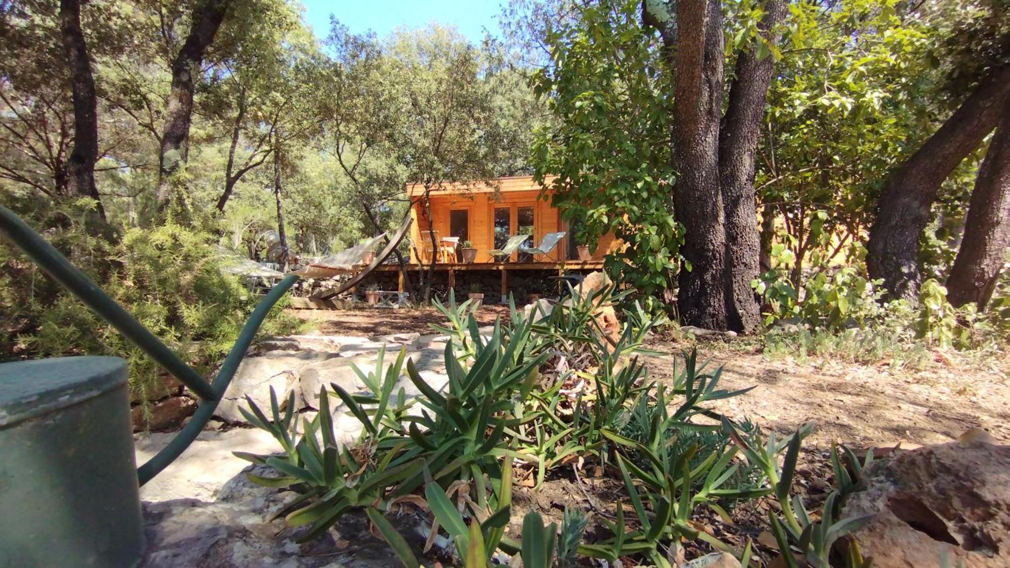 La Bergerie Des Colles Bed and Breakfast Entrecasteaux Exteriör bild